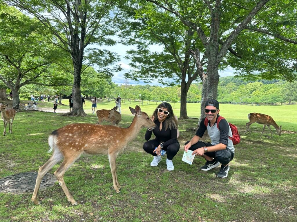 Deux voyageurs avec des cerfs dans un parc au Japon